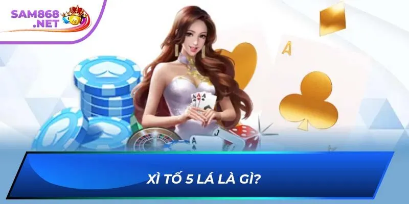 Xì tố 5 lá là gì?