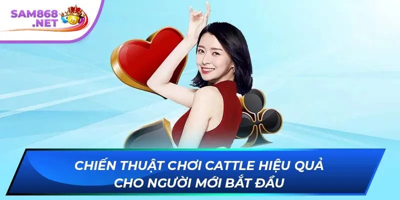 Chiến thuật chơi Cattle hiệu quả cho người mới bắt đầu